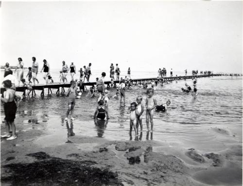 Amager Beach 50's